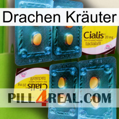 Drachen Kräuter cialis5